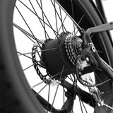 High-Step-Midnight Black-Motor